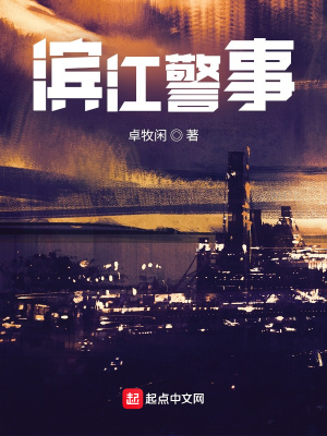 滨江警事起点小说