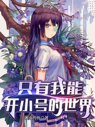 只有我能开小号的世界