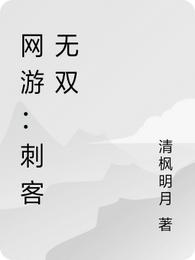 网游：刺客无双