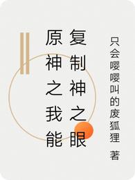 原神之我能复制神之眼
