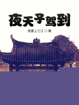 夜天子驾到