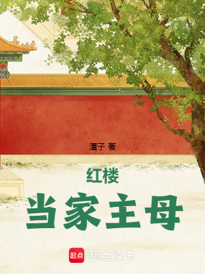 红楼当家主母