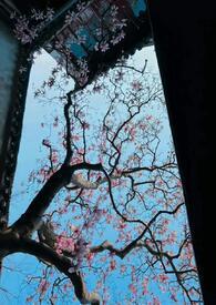 公主只想睡遍后宫（男生子H