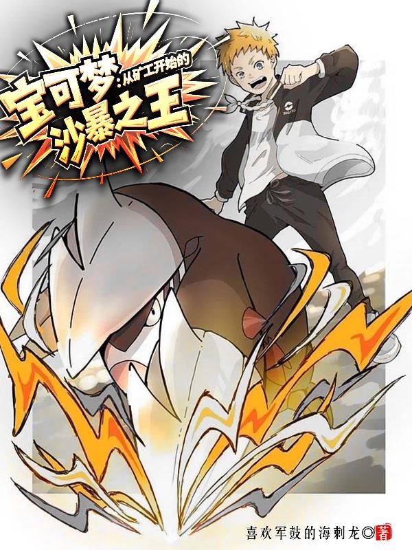 宝可梦：从矿工开始的沙暴之王