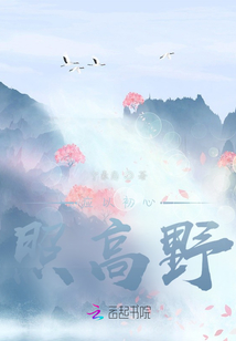 应以初心照高野