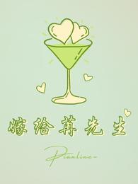 嫁给苒先生
